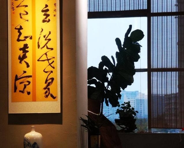 联系我们
